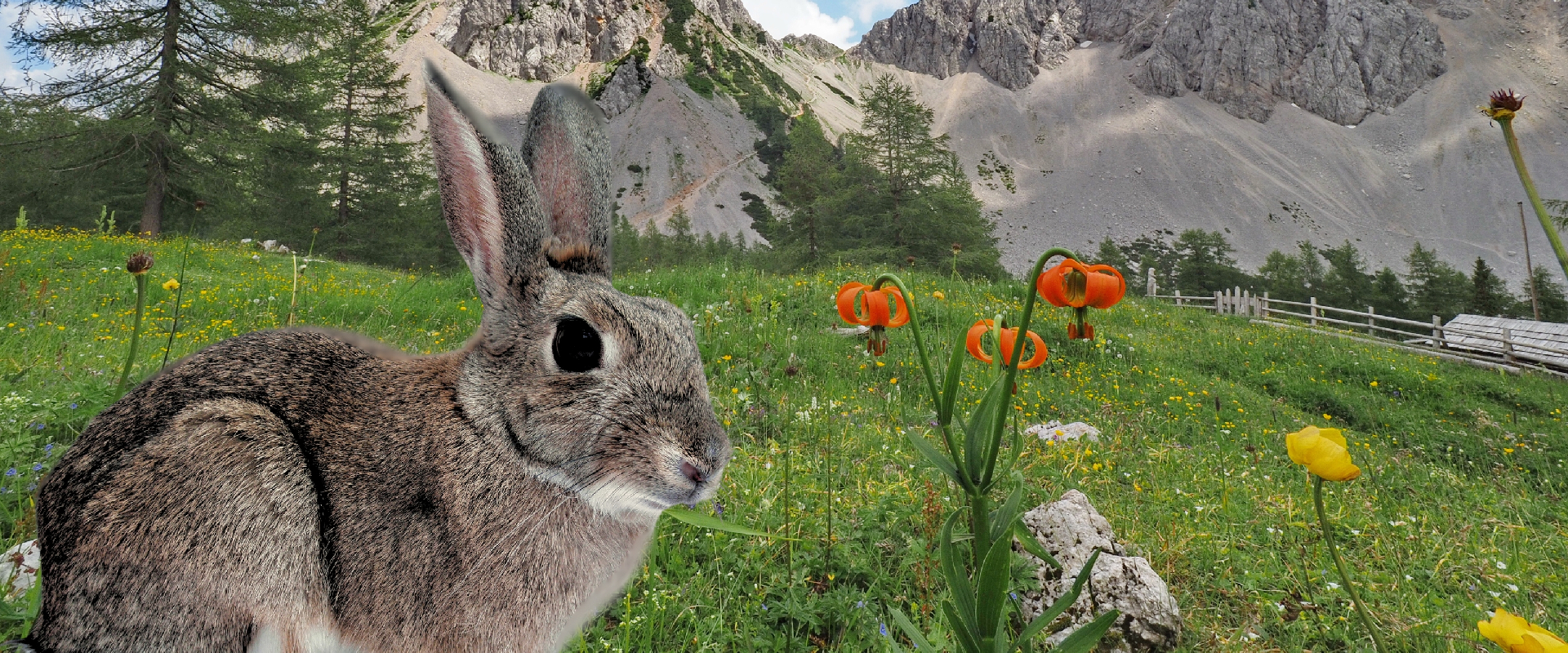 Erfolgreiche Angsthasen. Schweizer Unternehmen auf Top Position im GEM Report.